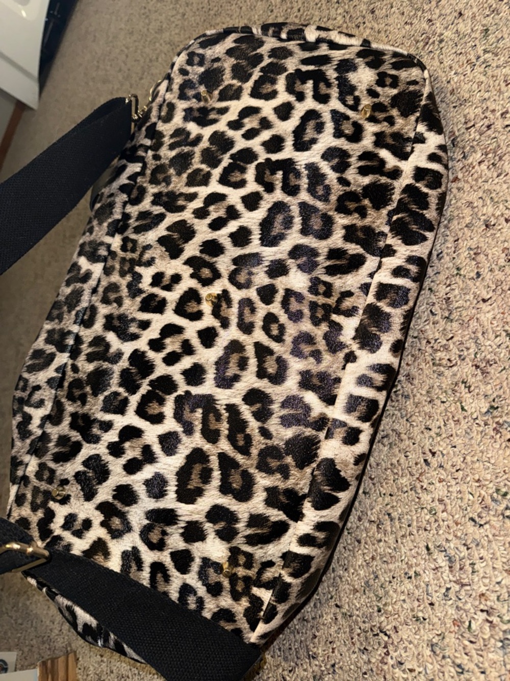 Black Women's Satchel Bag with Leopard Accent - Picture 2 of 7